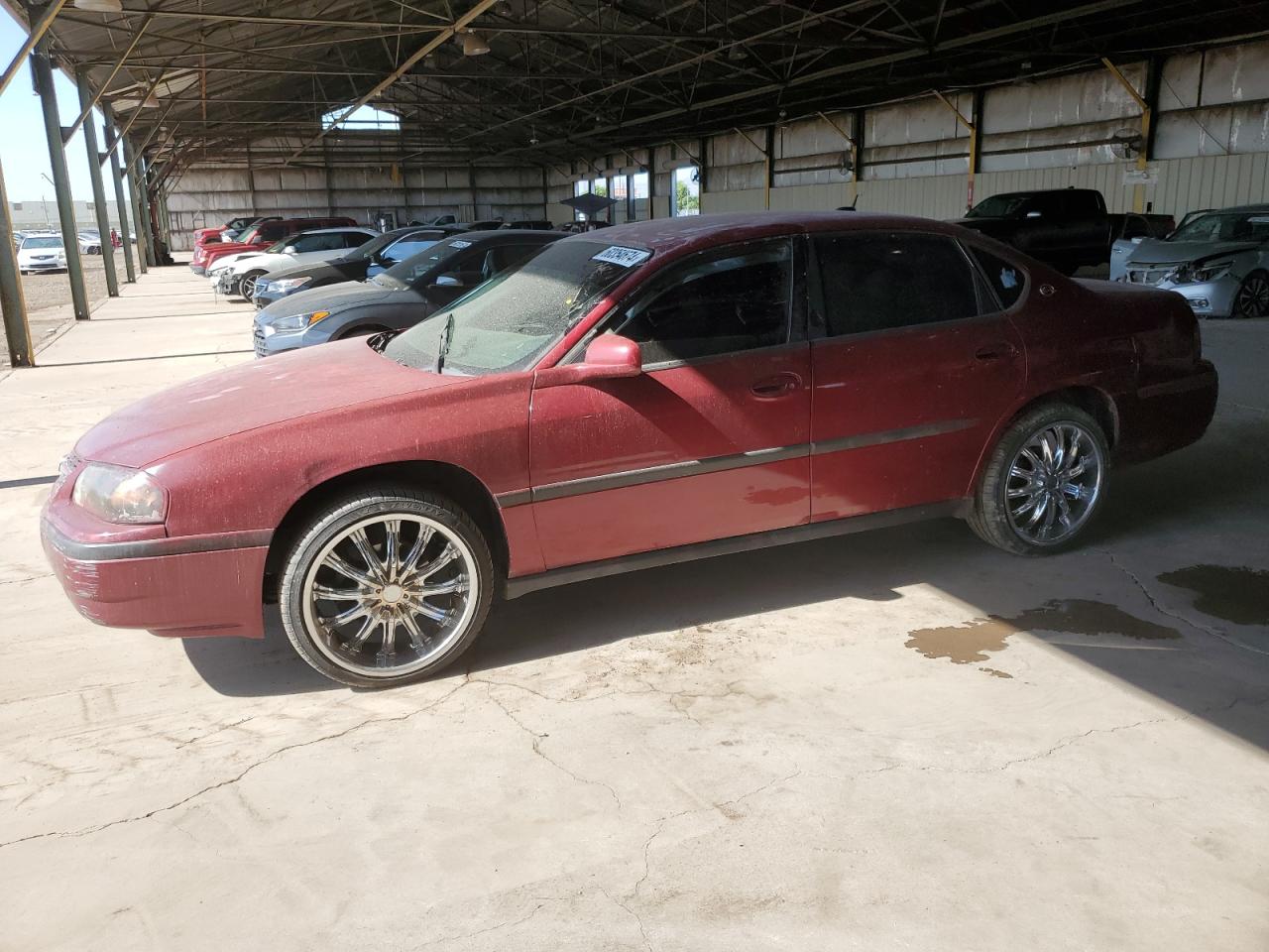 Lot #2635314909 2005 CHEVROLET IMPALA