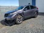 2019 HONDA CR-V LX - 2HKRW2H20KH151384