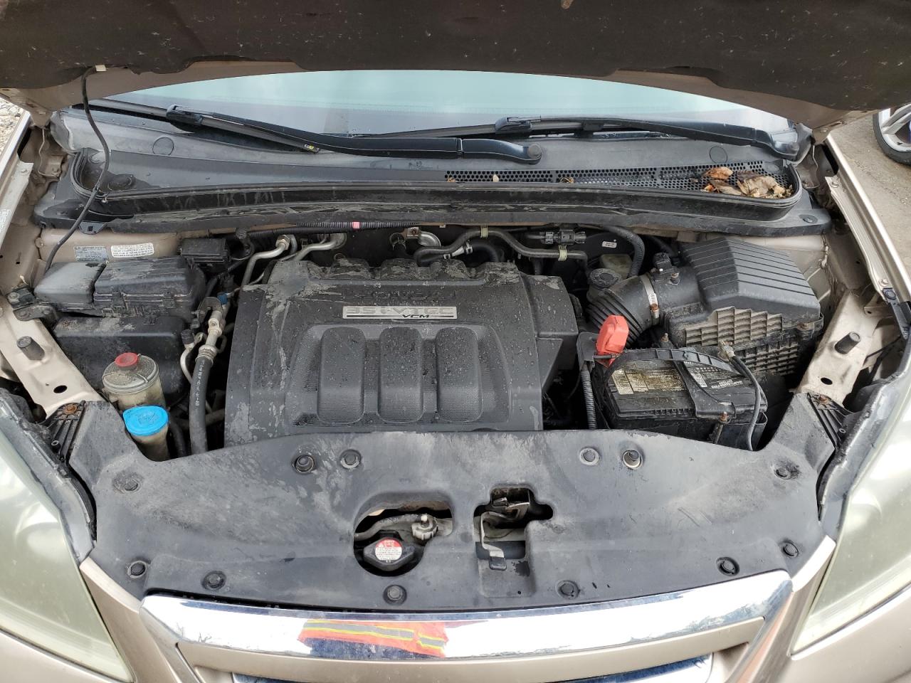 5FNRL38667B400617 2007 Honda Odyssey Exl