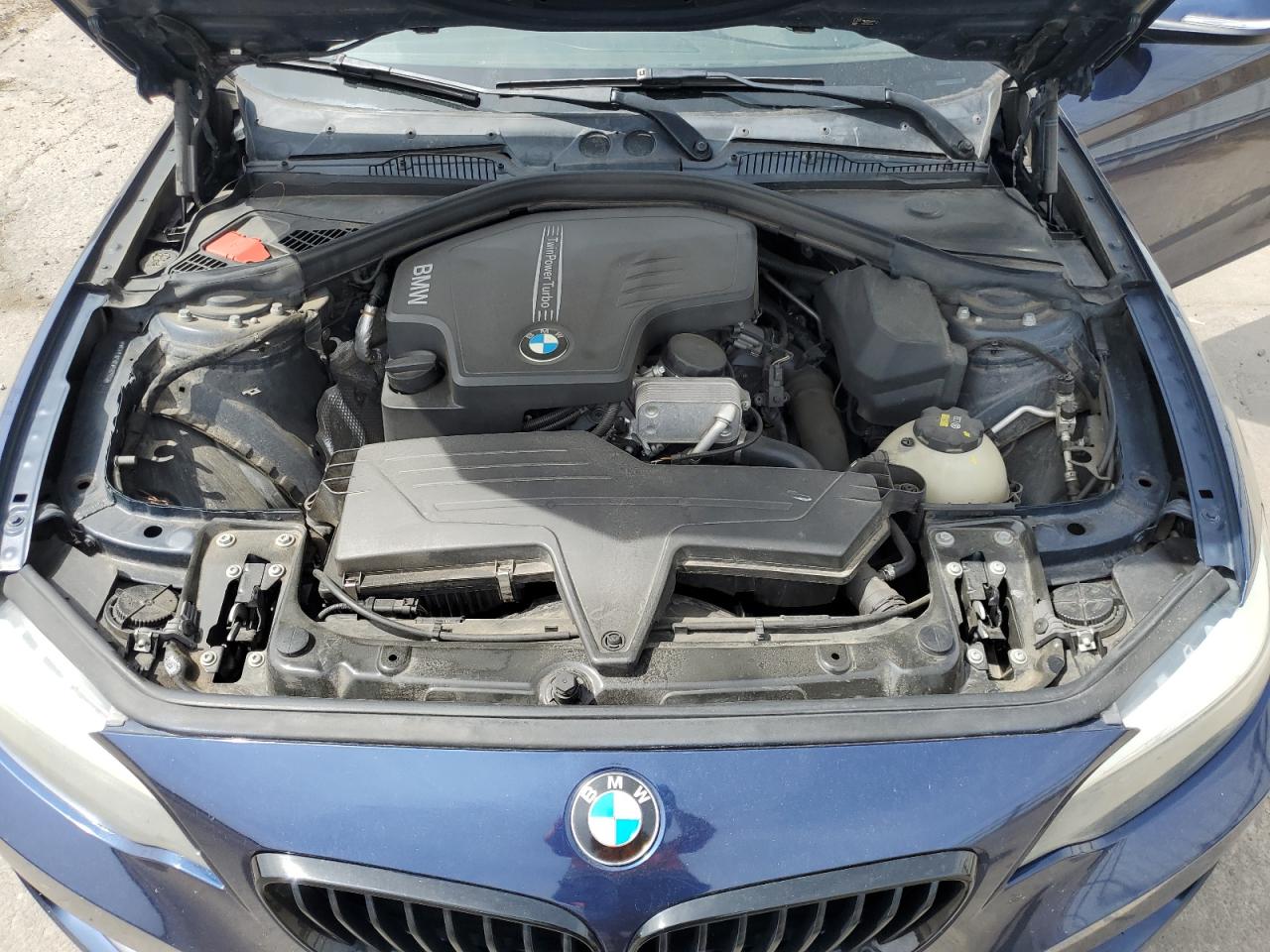 WBA1F9C58GV546134 2016 BMW 228 I Sulev