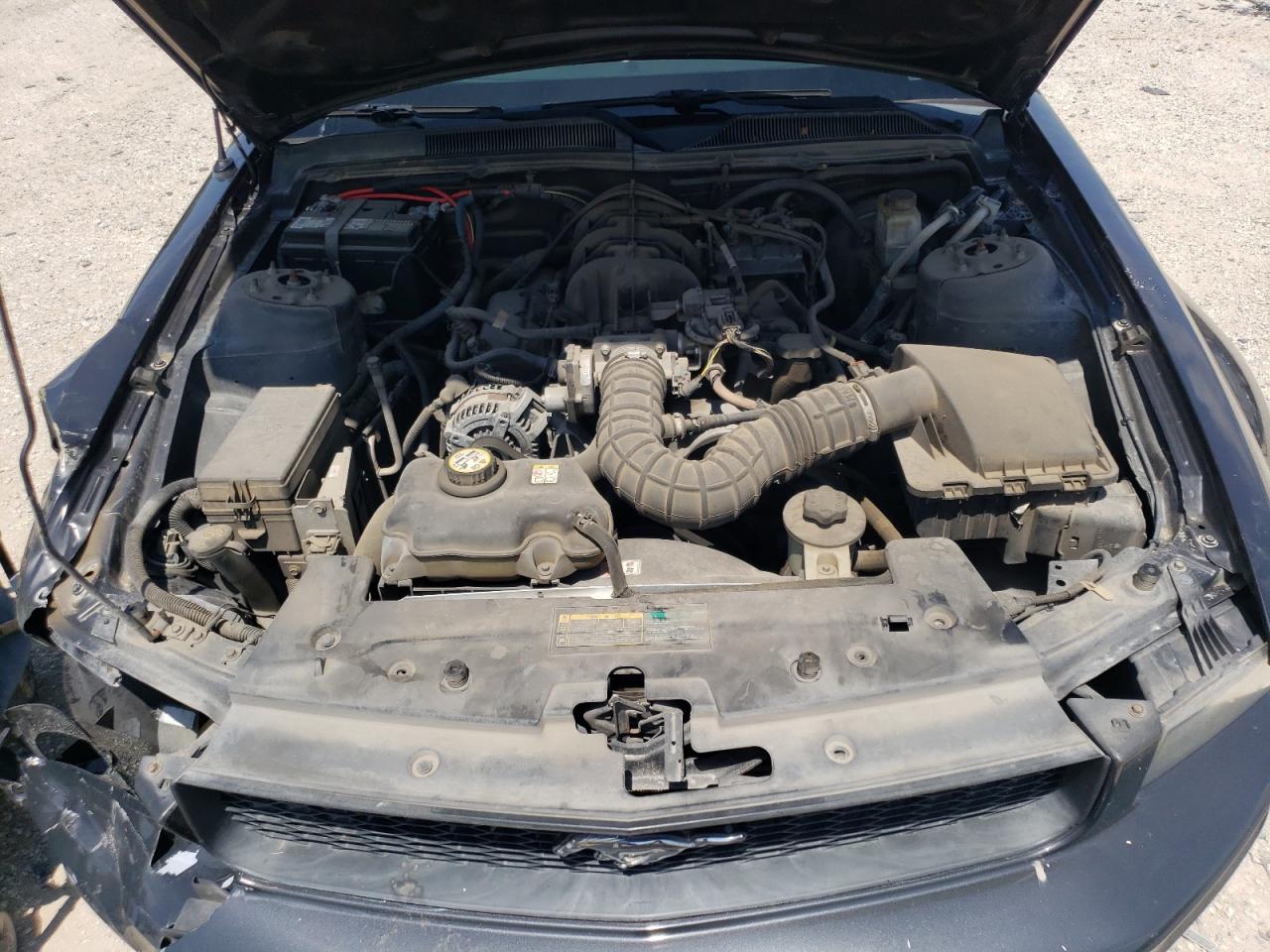 1ZVHT80N295119945 2009 Ford Mustang