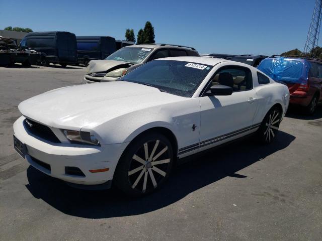 2010 Ford Mustang VIN: 1ZVBP8AN4A5107809 Lot: 61251514