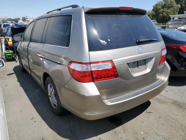 2005 Honda Odyssey Exl VIN: 5FNRL38685B015394 Lot: 59998904