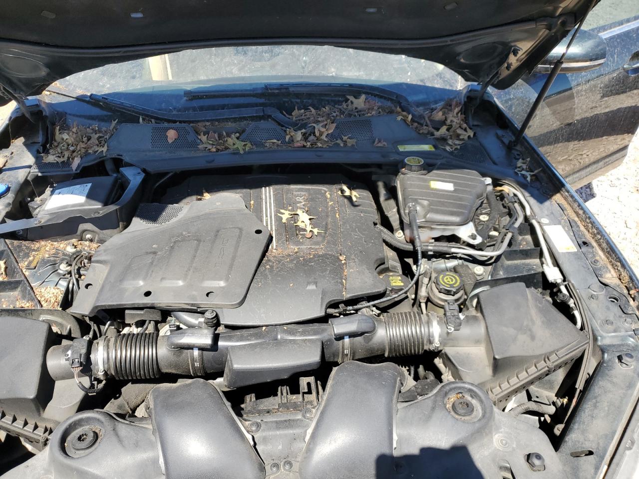 SAJWA1CB7BLV14411 2011 Jaguar Xj