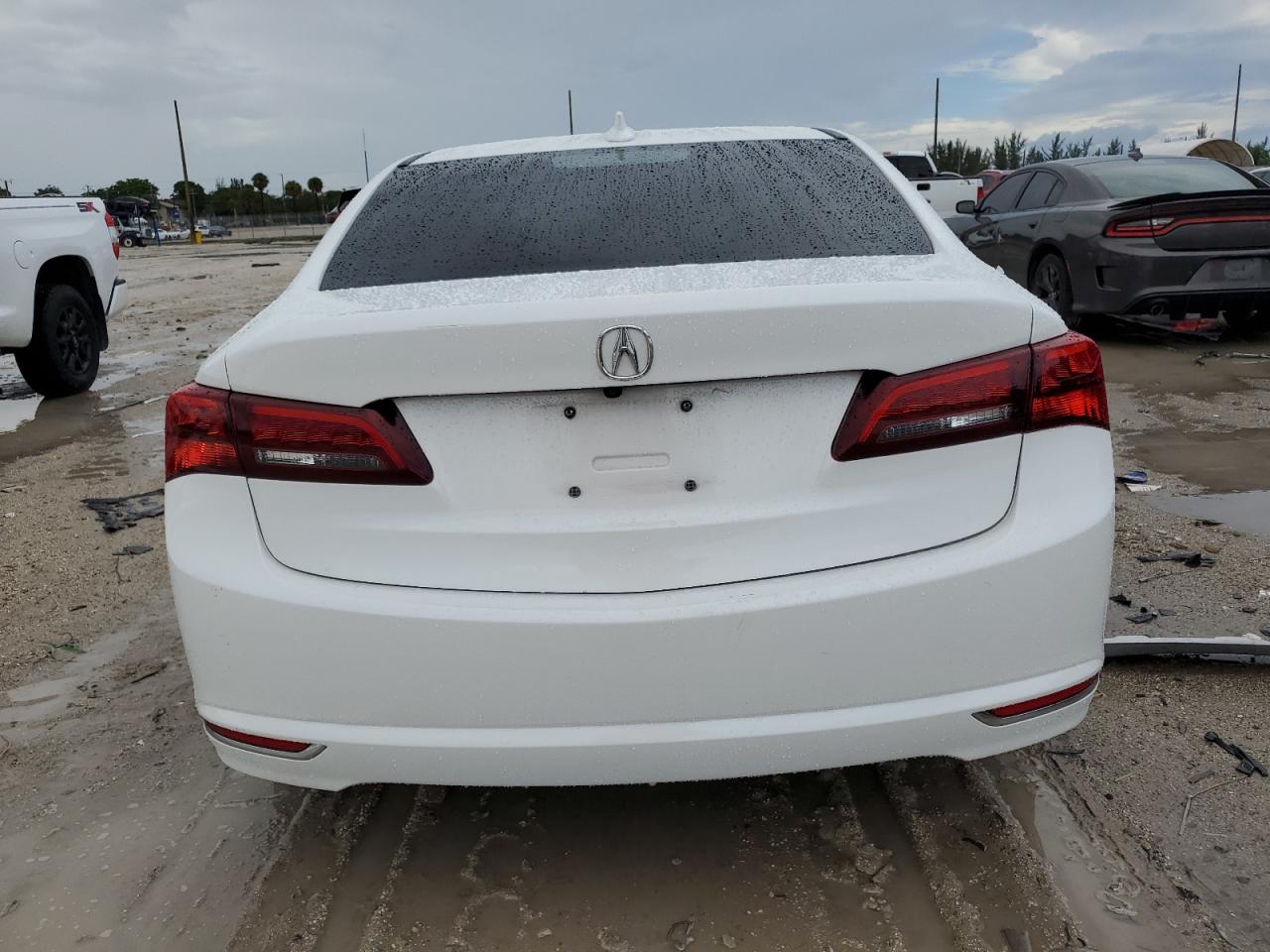19UUB2F55HA005504 2017 Acura Tlx Tech