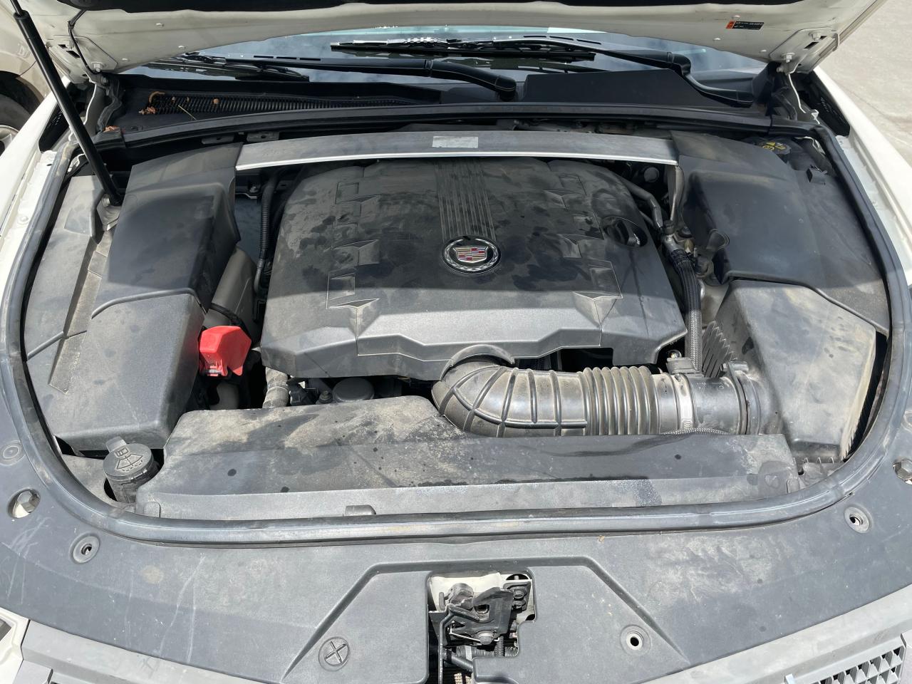 1G6DP1ED5B0155518 2011 Cadillac Cts Premium Collection