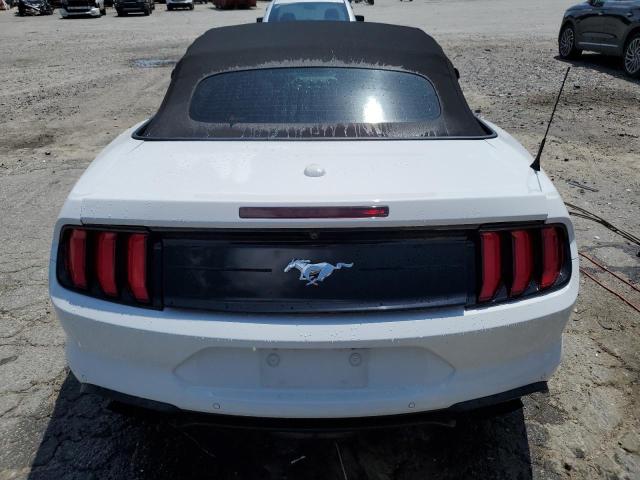 2019 Ford Mustang VIN: 1FATP8UH1K5191124 Lot: 57318734