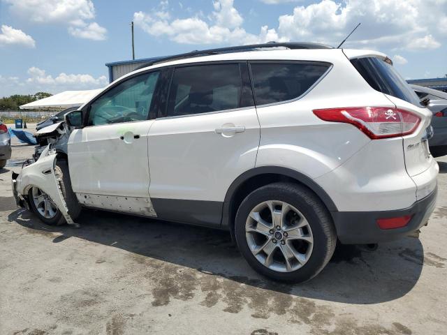 2013 Ford Escape Sel VIN: 1FMCU0H94DUC41493 Lot: 56307474