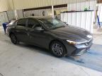 Lot #3025194605 2024 HYUNDAI ELANTRA SE