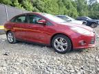 FORD FOCUS SE photo