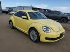 VOLKSWAGEN BEETLE photo