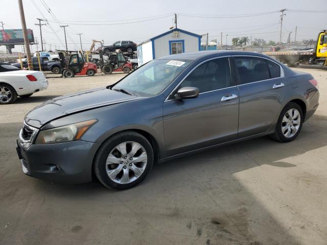 2010 Honda Accord Exl VIN: 1HGCP3F8XAA009003 Lot: 58155924