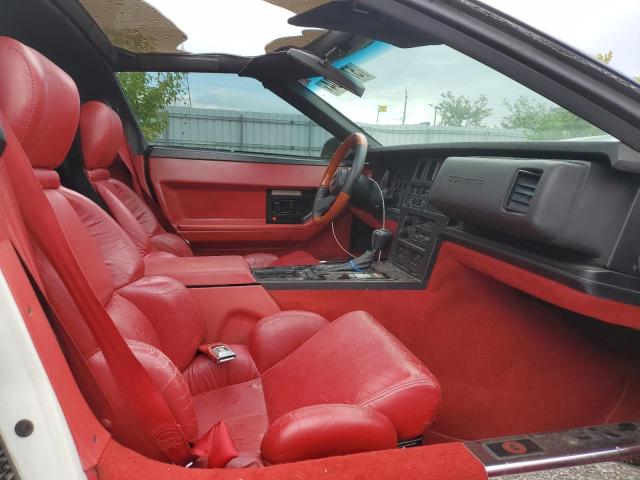 1989 Chevrolet Corvette VIN: 1G1YY2184K5116666 Lot: 57023104