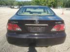 LEXUS ES 300 photo