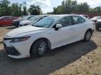 Top Destinations for Shipping Cars from the USA