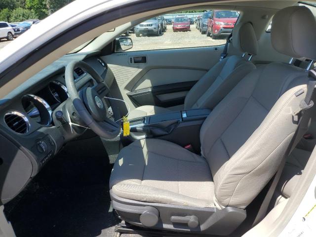 2011 Ford Mustang VIN: 1ZVBP8AM6B5151173 Lot: 58650784