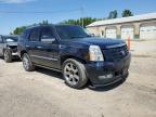 CADILLAC ESCALADE L photo