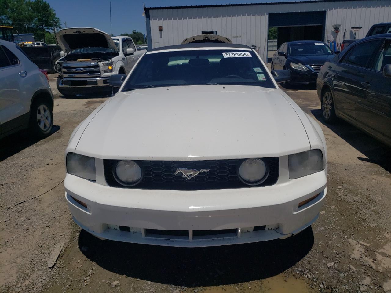 1ZVFT85H765172534 2006 Ford Mustang Gt