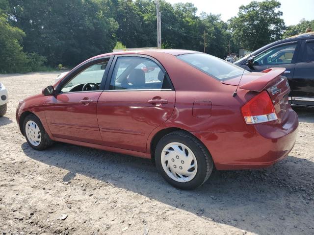 2008 Kia Spectra Ex VIN: KNAFE122X85533307 Lot: 57249534