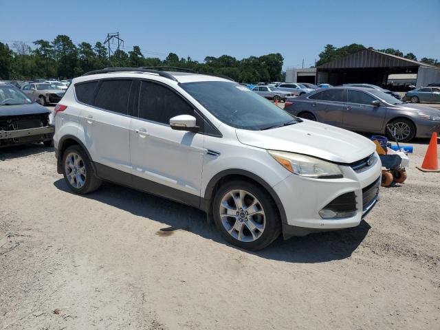 2013 Ford Escape Sel VIN: 1FMCU0HX5DUC99109 Lot: 58274594