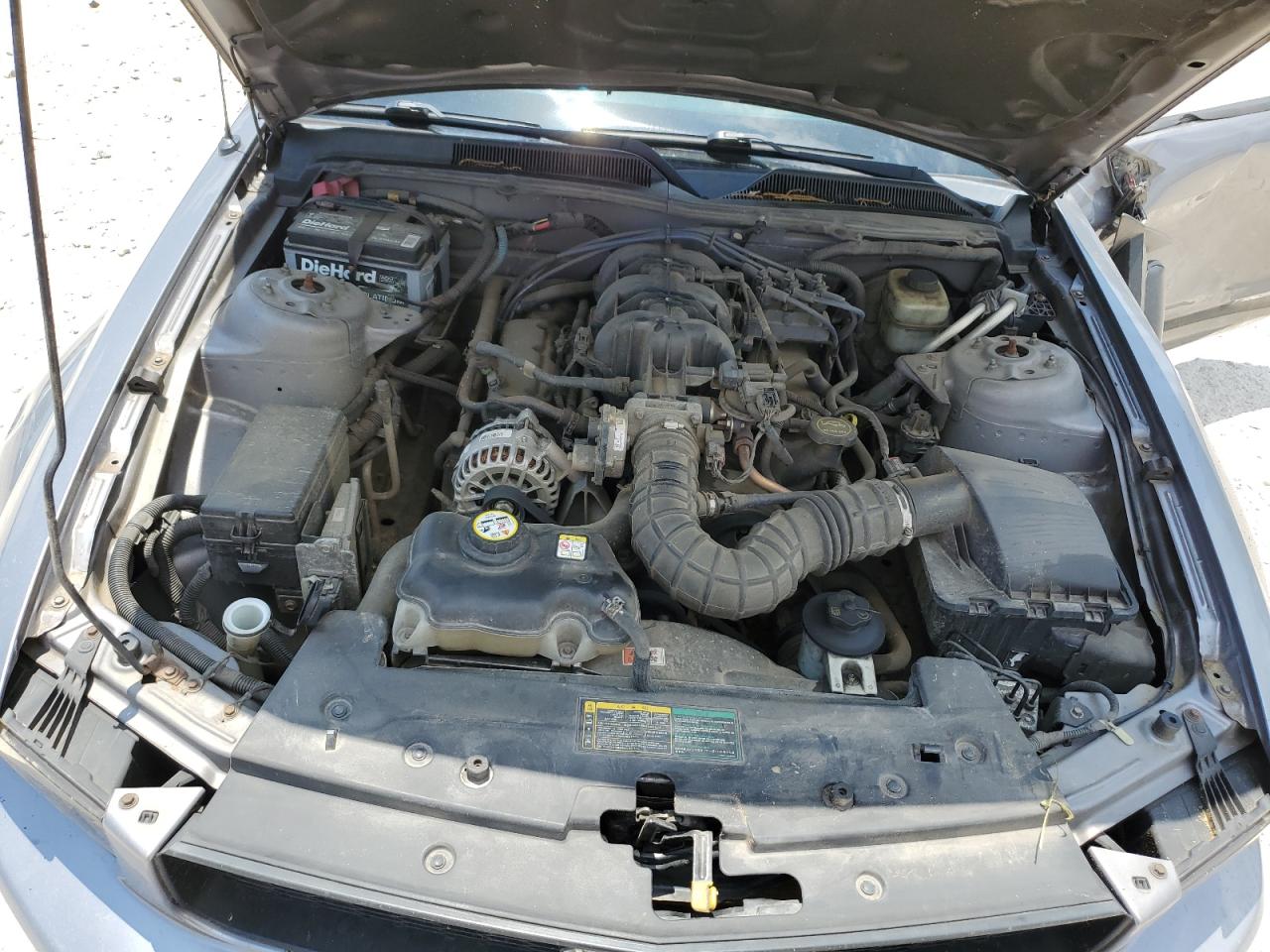 1ZVFT80N465136104 2006 Ford Mustang