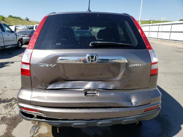 2010 Honda Cr-V Exl VIN: 5J6RE4H73AL066232 Lot: 58489754
