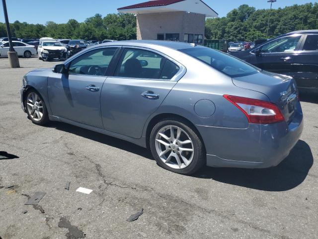 2010 Nissan Maxima S VIN: 1N4AA5AP0AC830879 Lot: 58929984