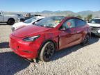 2023 TESLA MODEL Y - 7SAYGDEE6PF877777