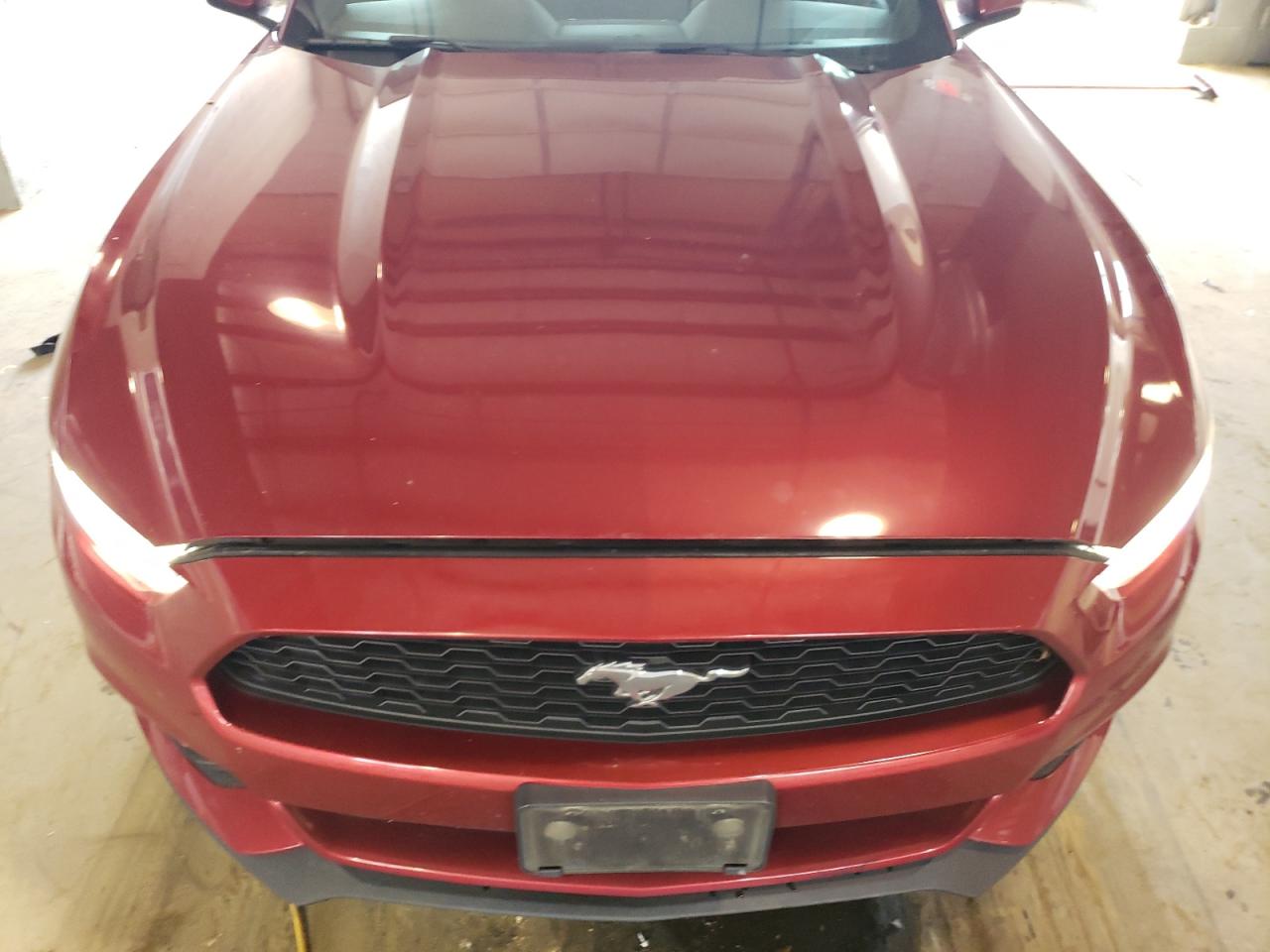 1FA6P8AM2H5264203 2017 Ford Mustang