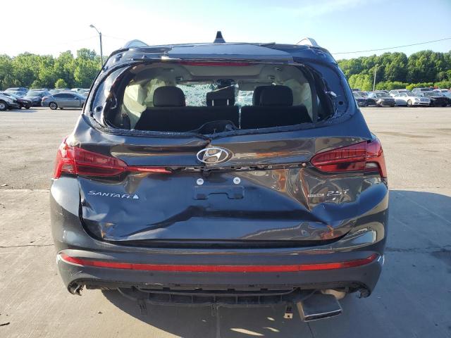 2023 Hyundai Santa Fe Limited VIN: 5NMS4DAL6PH530822 Lot: 60595444