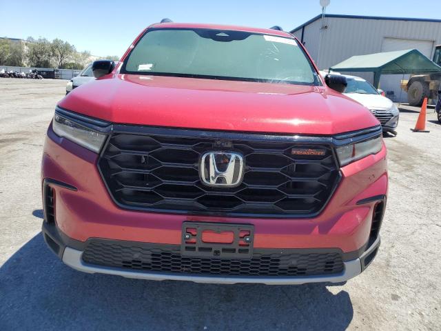 2024 HONDA PILOT TRAI 5FNYG1H69RB015799