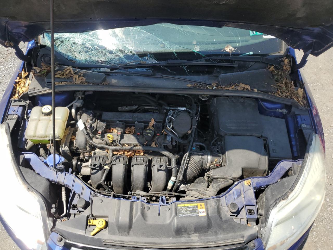 1FAHP3F25CL472034 2012 Ford Focus Se