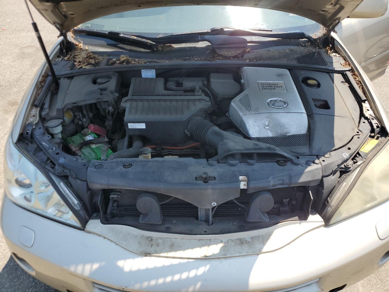 JTJHW31U460036347 2006 Lexus Rx 400