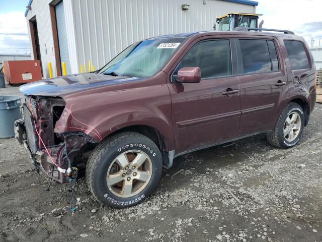 2009 Honda Pilot Ex VIN: 5FNYF484X9B044067 Lot: 57521264