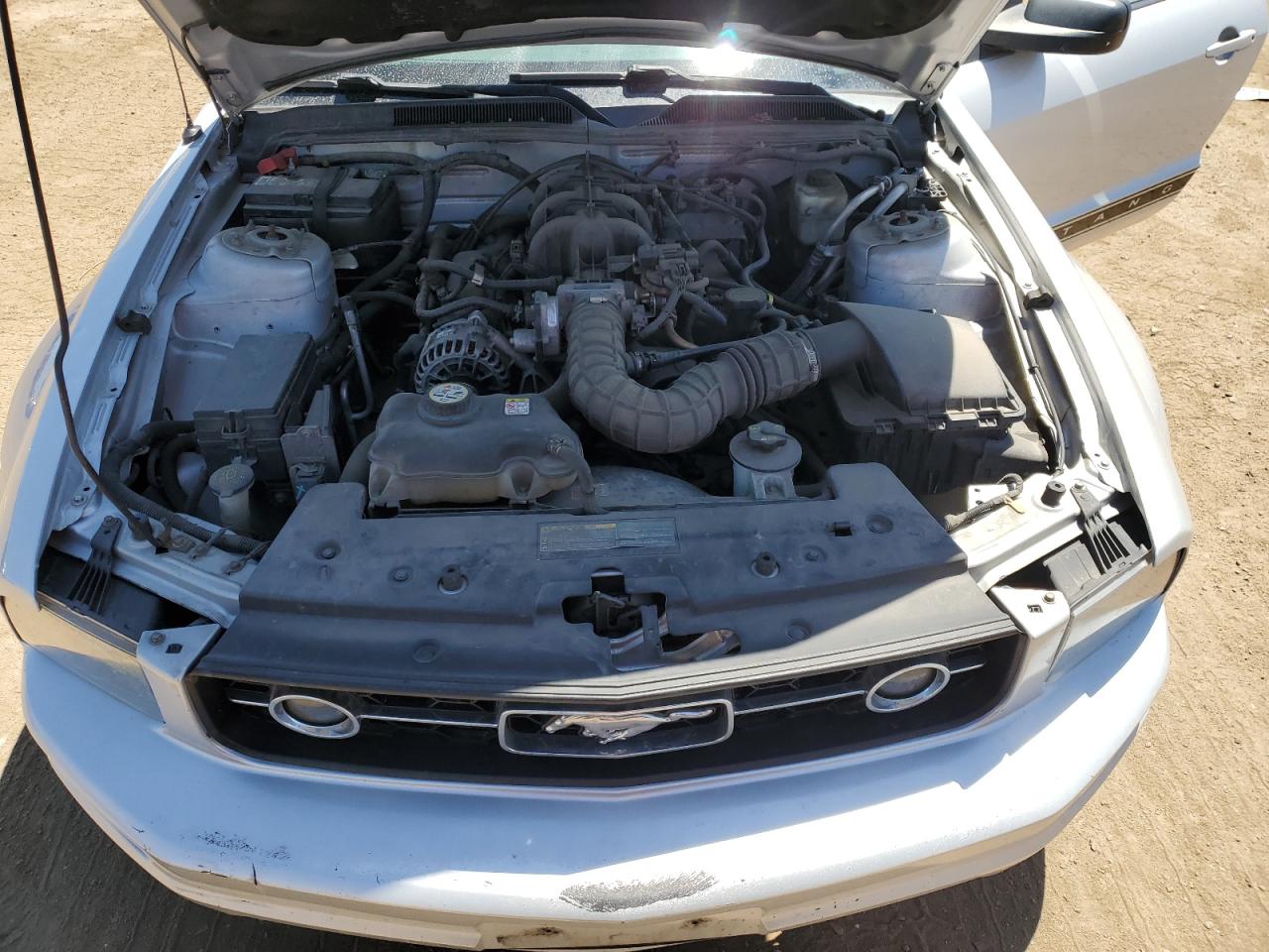 1ZVFT80N175243905 2007 Ford Mustang