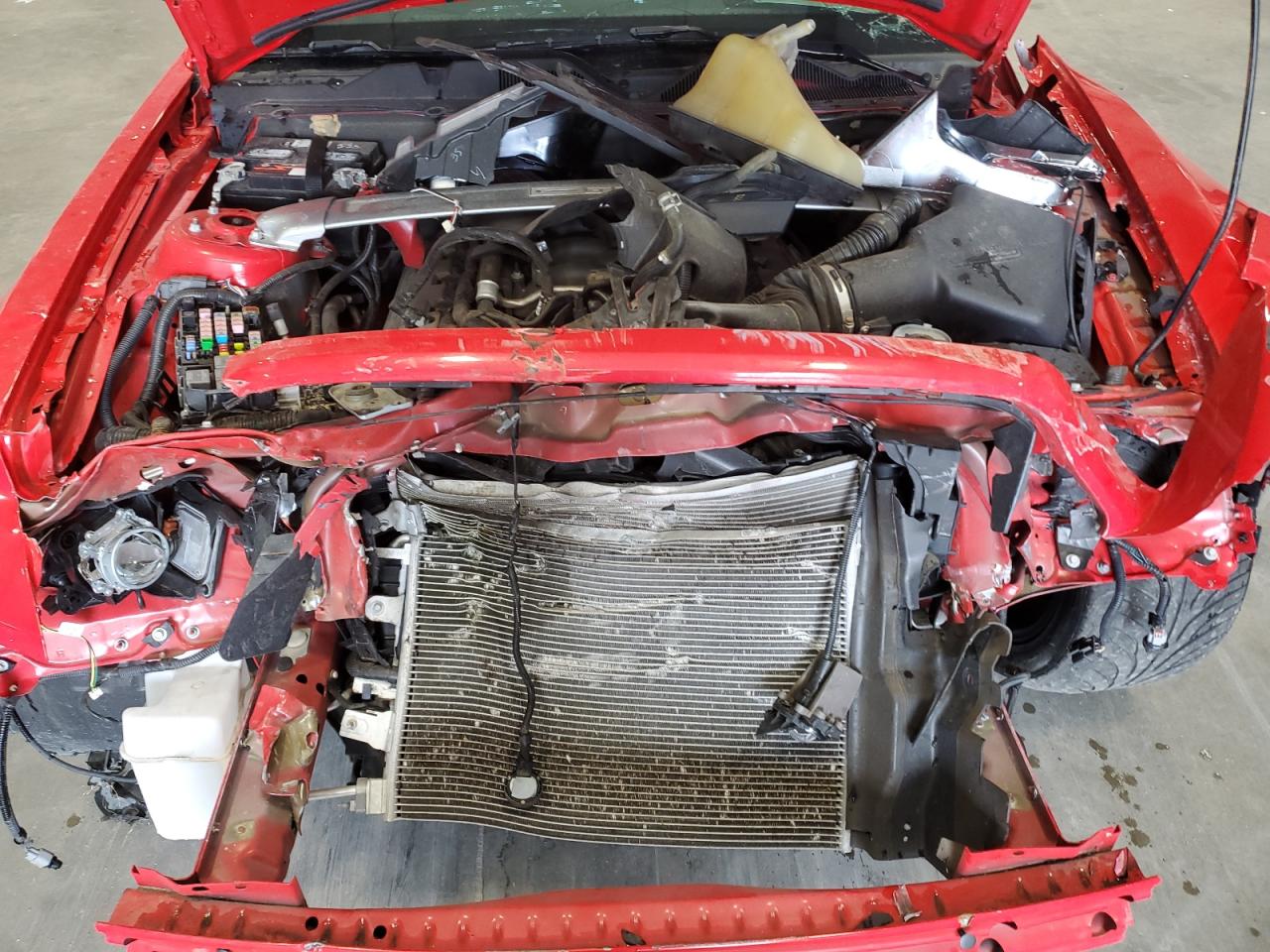 1ZVBP8FF1D5272495 2013 Ford Mustang Gt