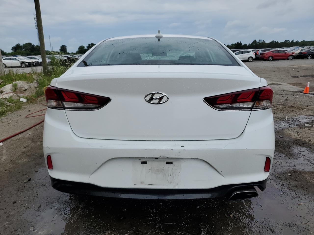 5NPE24AF6KH796348 2019 Hyundai Sonata Se