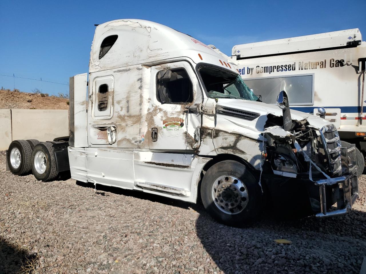 Lot #3045722376 2019 FREIGHTLINER CASCADIA 1