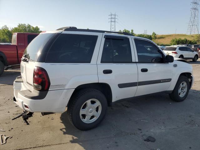 2003 Chevrolet Trailblazer VIN: 1GNDT13S932321854 Lot: 58875814