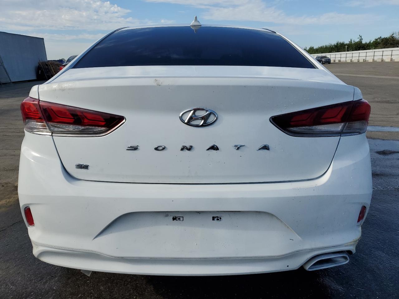 5NPE24AF3KH764070 2019 Hyundai Sonata Se