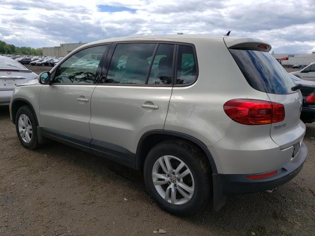 2013 Volkswagen Tiguan S VIN: WVGBV3AX3DW613798 Lot: 56653974