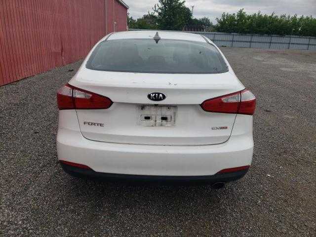 2014 Kia Forte Ex VIN: KNAFX4A88E5168588 Lot: 58045754