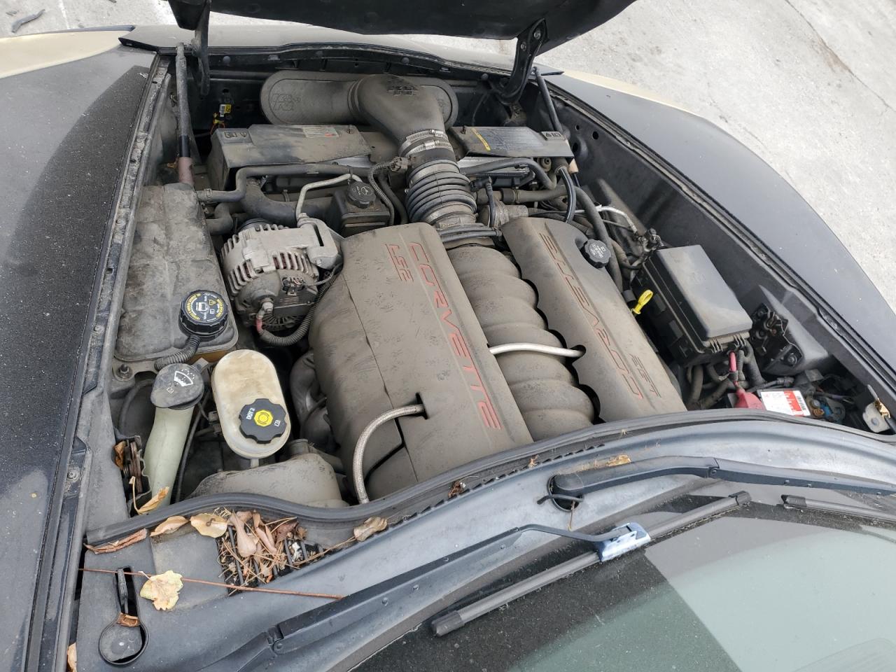 1G1YY24U955131757 2005 Chevrolet Corvette