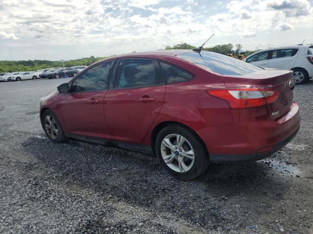 2013 Ford Focus - Image 2