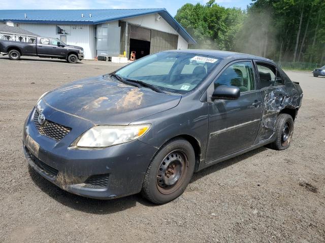 2010 Toyota Corolla Base VIN: 2T1BU4EEXAC404505 Lot: 56022684