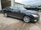 LEXUS ES 350 photo