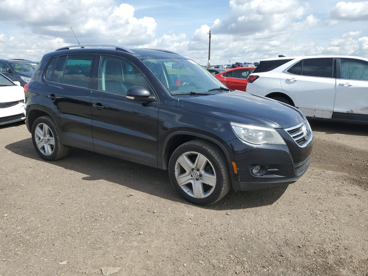 WVGBV7AX5AW513222 2010 Volkswagen Tiguan Se