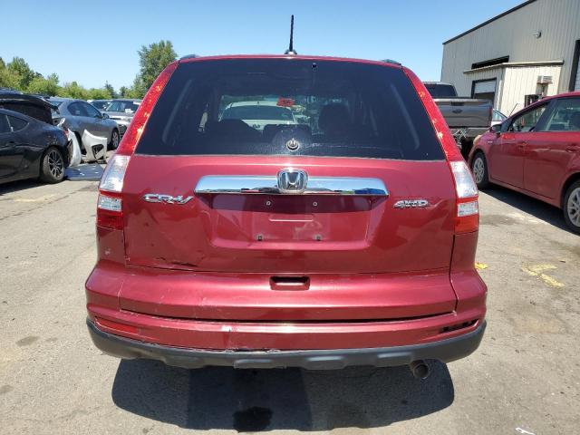 2008 Honda Cr-V Exl VIN: 5J6RE48758L048034 Lot: 57539294