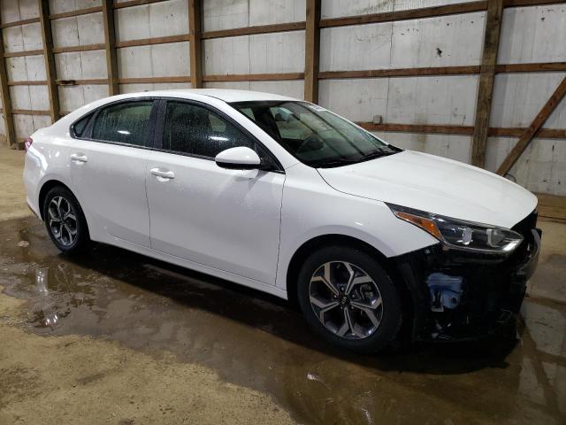 2019 Kia Forte Fe VIN: 3KPF24AD1KE113706 Lot: 58444784