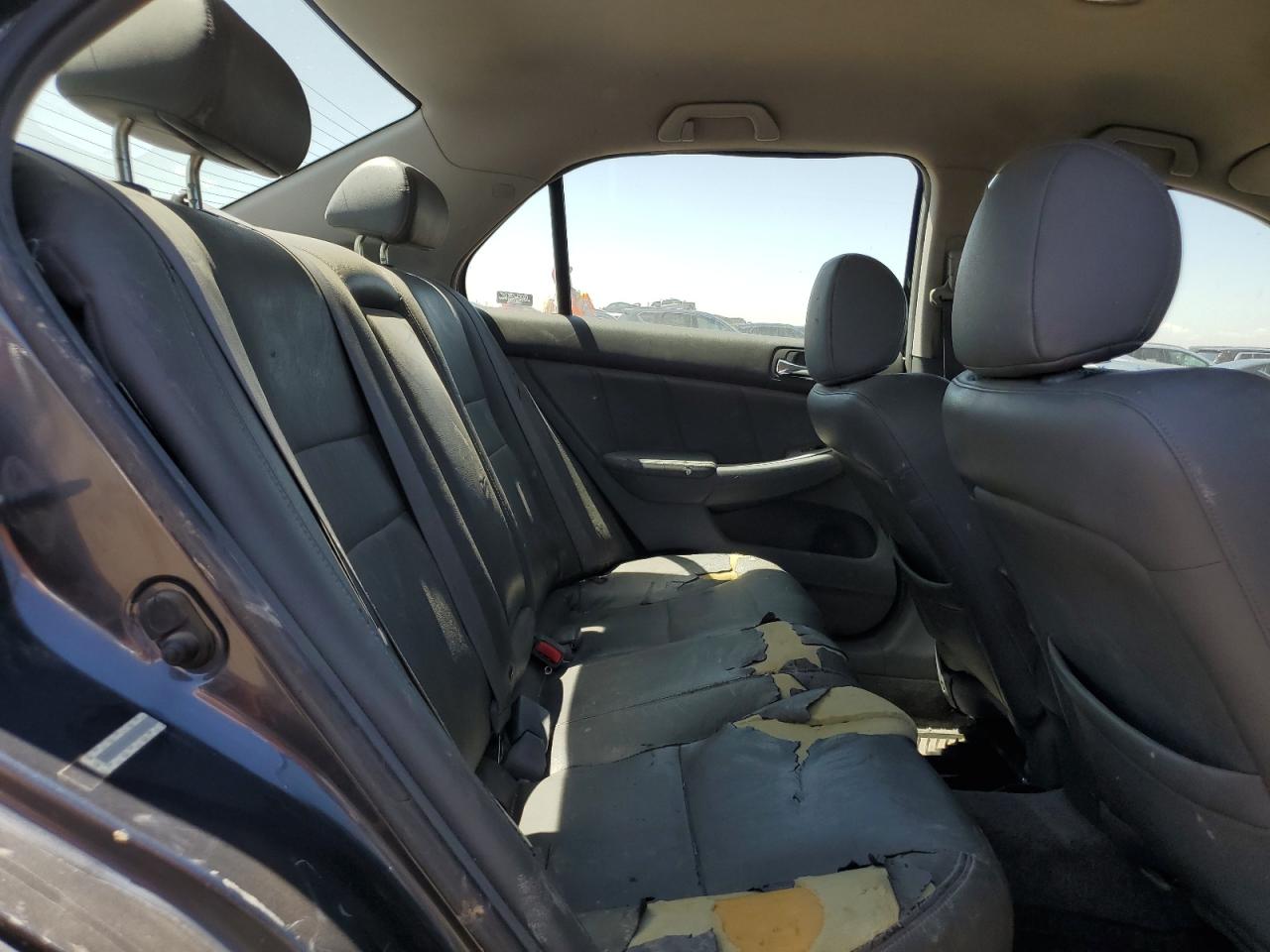 JHMCN36445C013414 2005 Honda Accord Hybrid